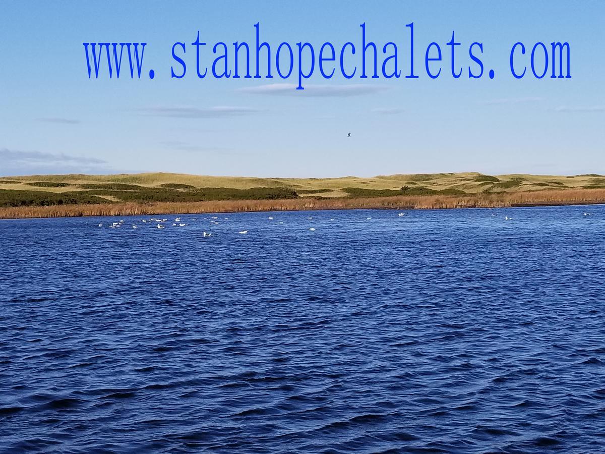 Merry Stanhope Chalets Hotel Luaran gambar